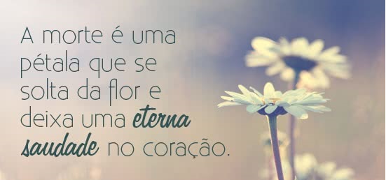 luto2